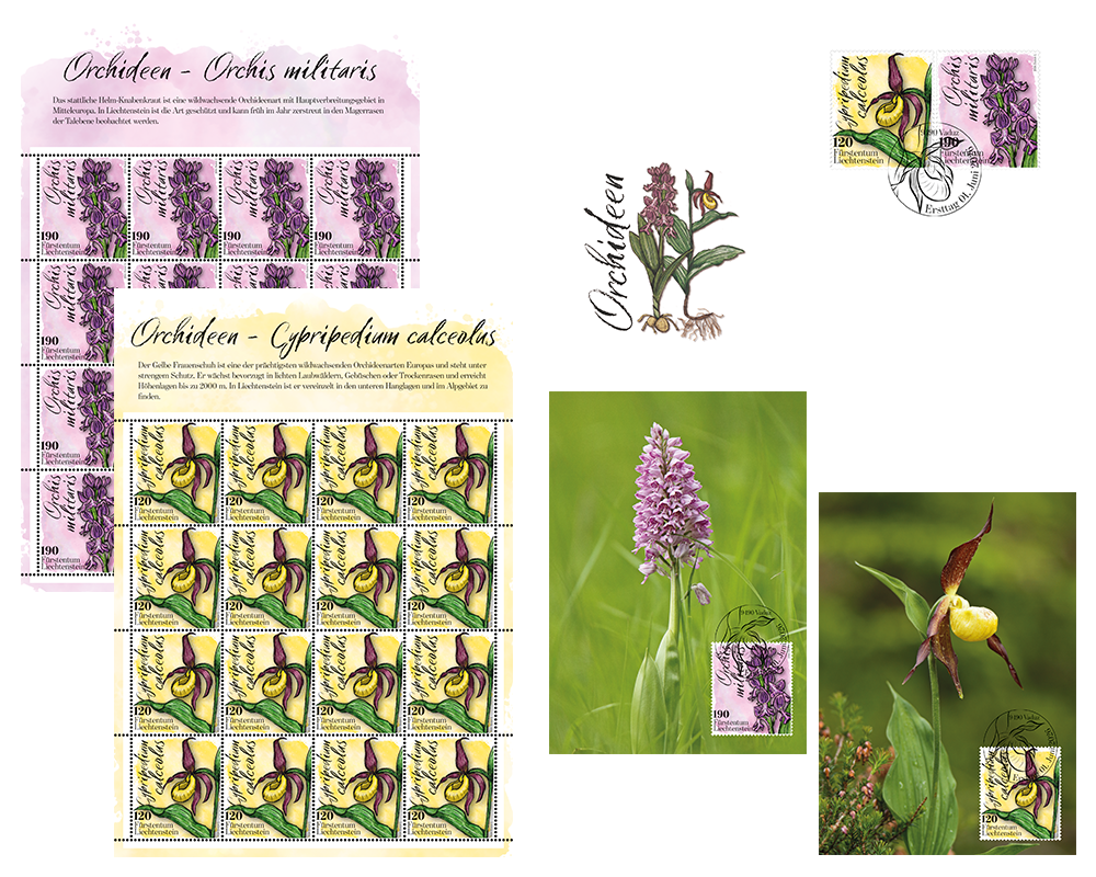 Orchideen