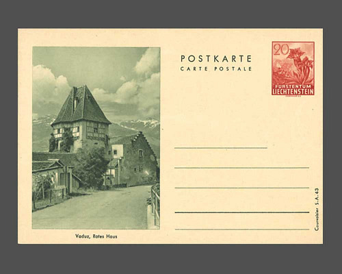 Postcard: Gentian