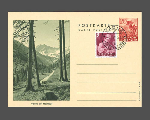 Postcard: Gentian