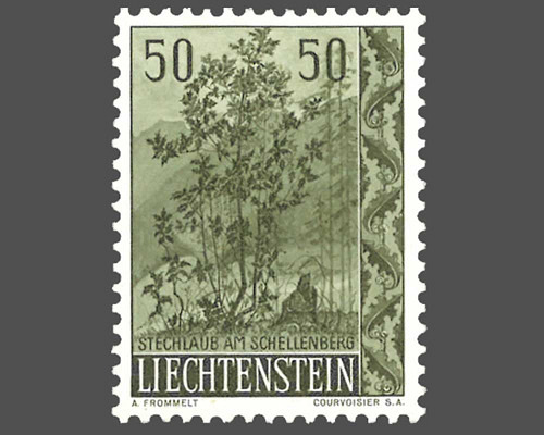 Heimische Bäume und Sträucher - II