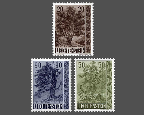 Heimische Bäume und Sträucher - II