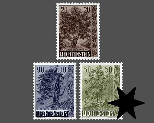 Heimische Bäume und Sträucher - II