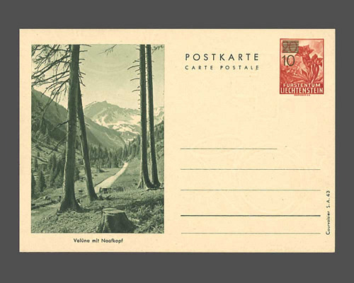Postcard: Gentian