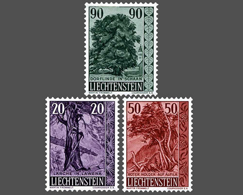 Native trees and shrubs - III