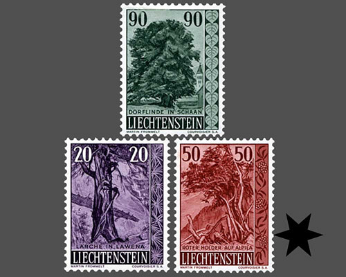 Native trees and shrubs - III