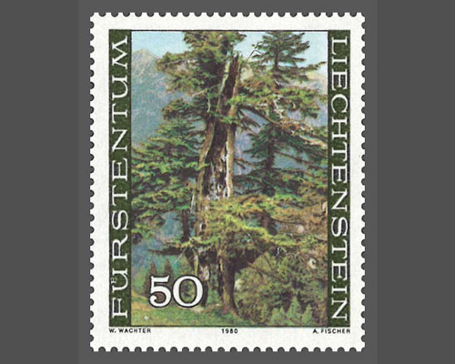 Der Wald in den vier Jahreszeiten