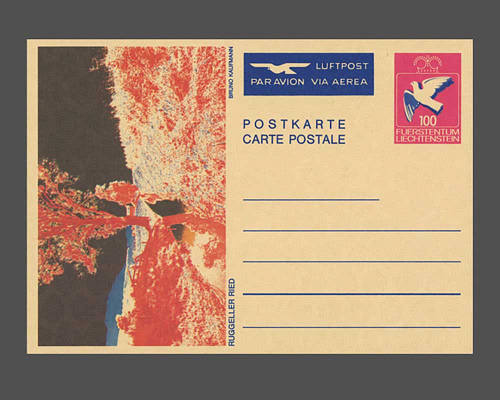 Postcard: Dove