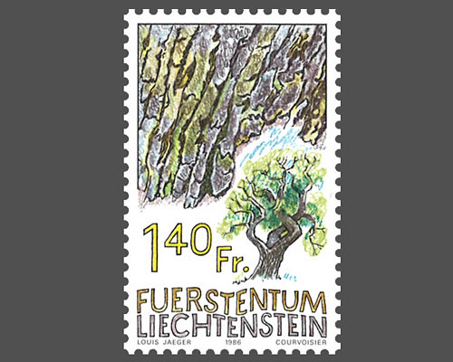 Baumrinden