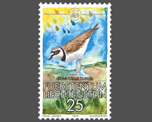 Kleinfauna - WWF
