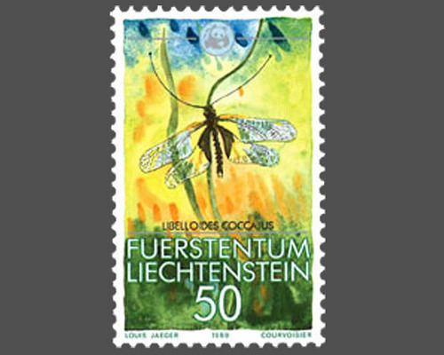 Kleinfauna - WWF