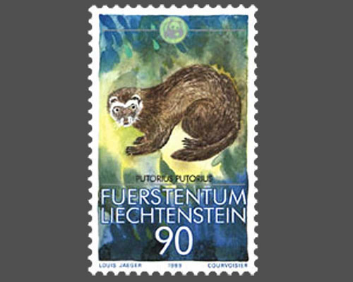 Kleinfauna - WWF