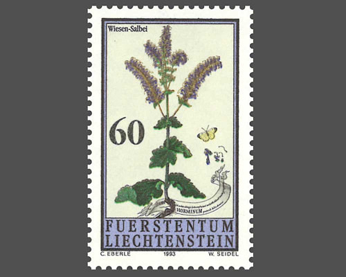 Fleurs des prés