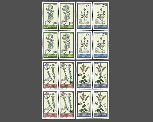 Fleurs des prés