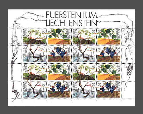 The vine in the seasons
