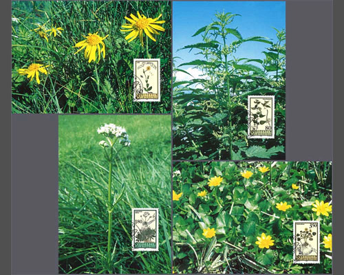 Medicinal herbs