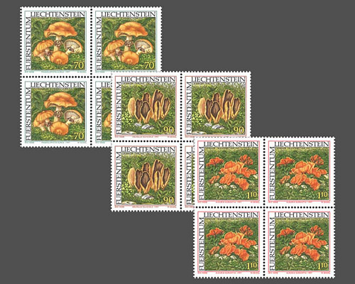 Rare mushrooms - I