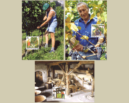 L'année du vigneron: travail du vigneron