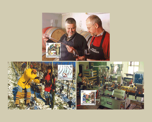 L'année du vigneron: travail du vigneron