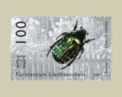 Käfer