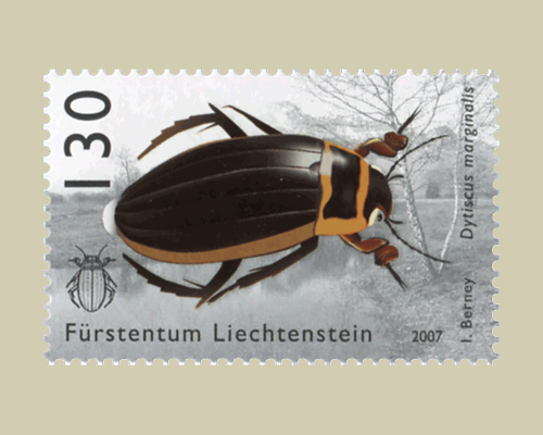 Käfer