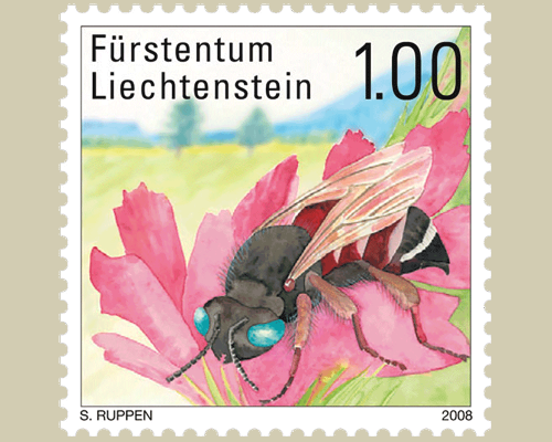 Seltene Bienen und Wespen in Liechtenste