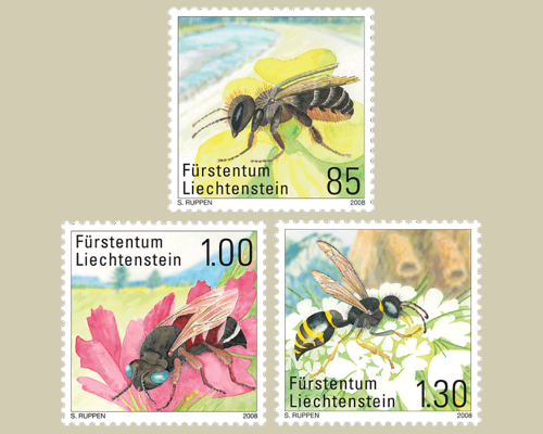 Seltene Bienen und Wespen in Liechtenste