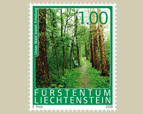 The Forest and its benefits