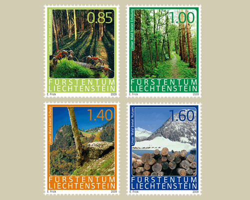 The Forest and its benefits