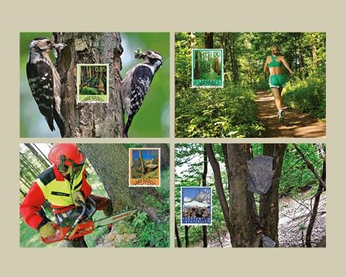 The Forest and its benefits