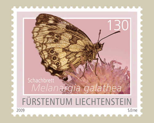 Schmetterlinge - I