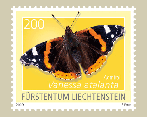 Schmetterlinge - I
