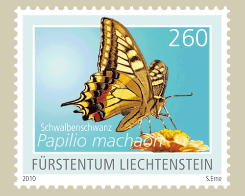 Schmetterlinge - II