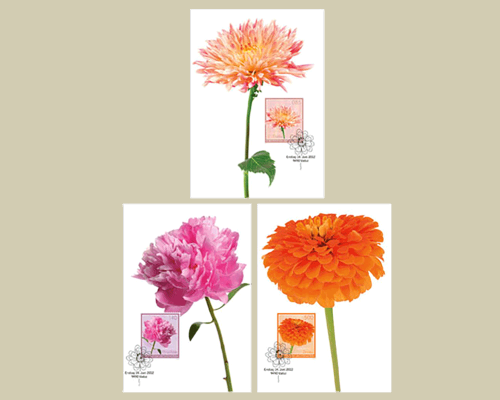 Gartenblumen - I