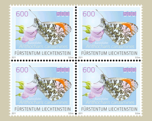 Schmetterling -