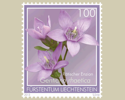 Alpenblumen