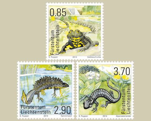 Amphibiens