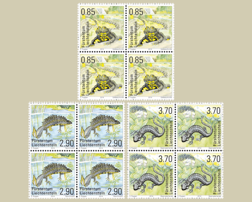 Amphibiens
