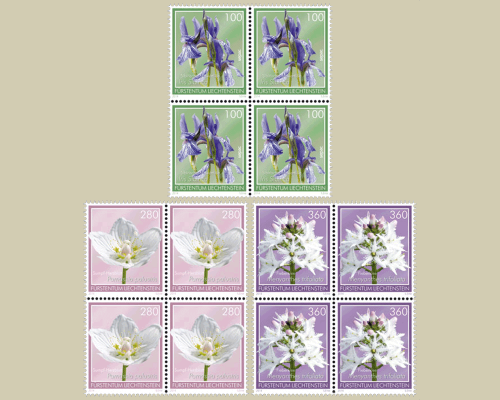 Bog flowers