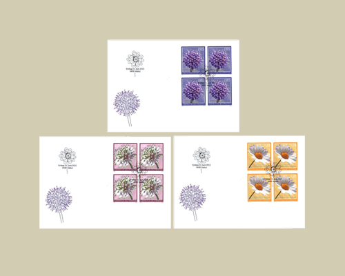 Fleurs des prairies maigres