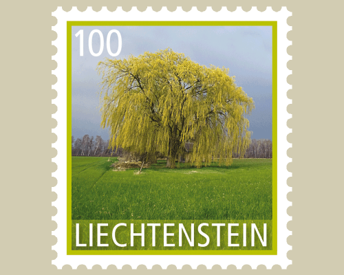 Bäume
