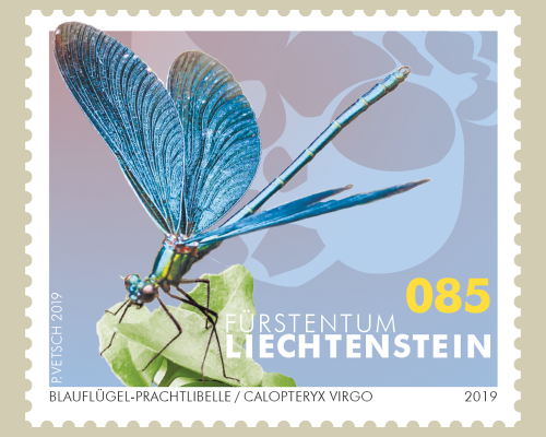 Libellen (2019)