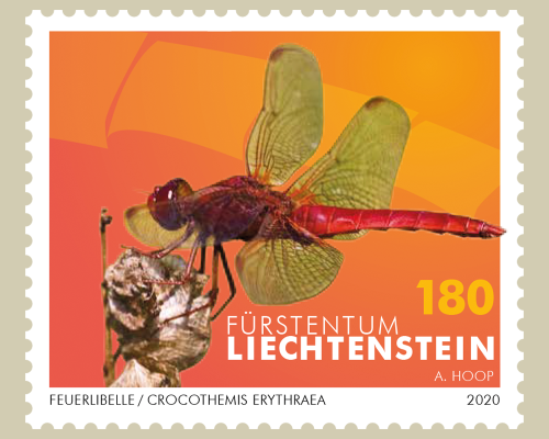Libellules – II