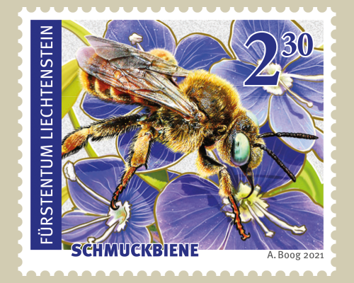 Wildbienen