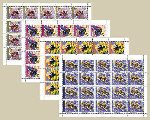 Wildbienen