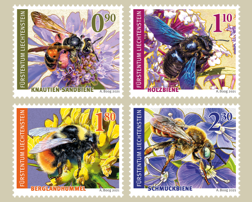 Wildbienen