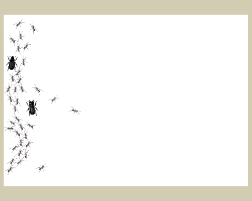 Saminatal – Fauna
