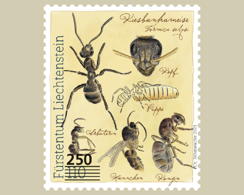 Provisorien