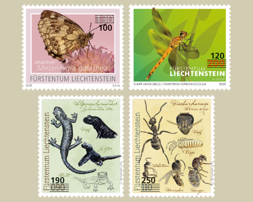 Provisorien