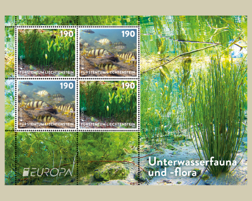 EUROPA - Unterwasserfauna und -flora