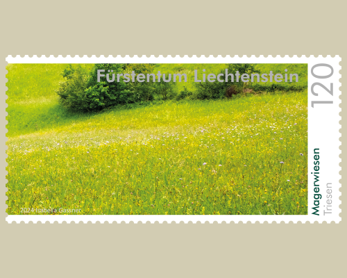 Panorama - Magerwiesen